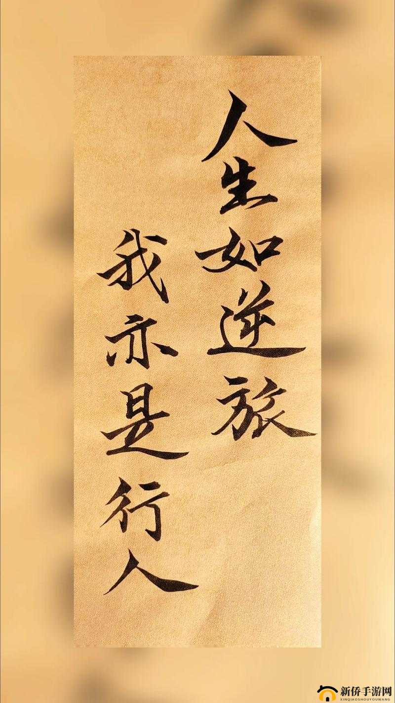 公交车上的诗请 10：人生如逆旅，我亦是行人