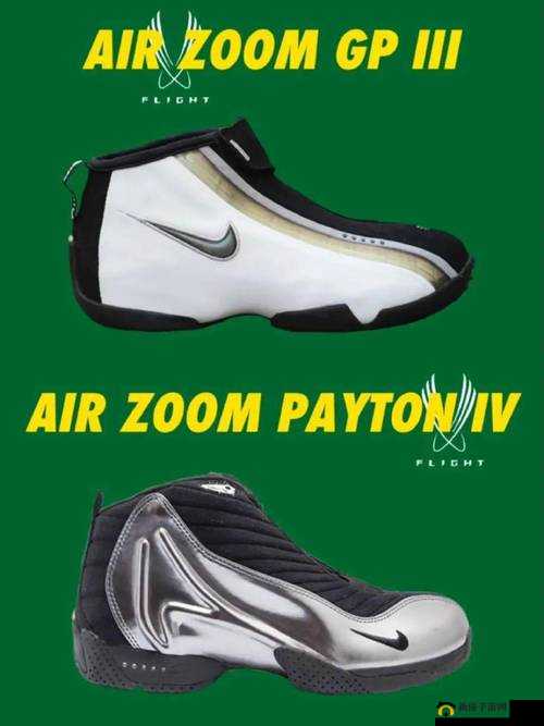 ZOOM 另一类 ZZO03：相关介绍