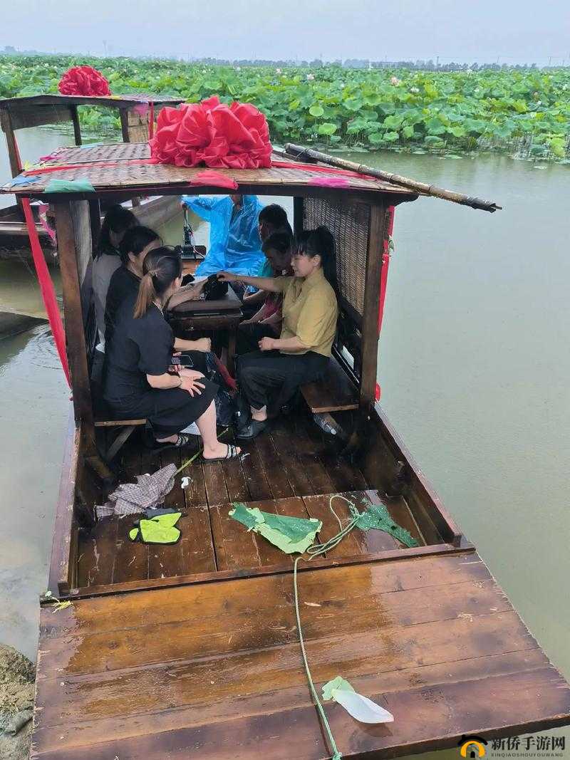 老人船上弄雨荷好吗：一幅动人的画面
