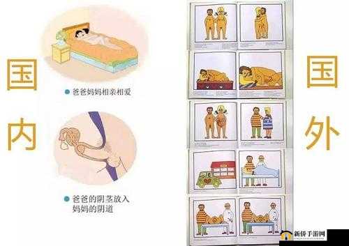欧美 6—9 岁儿童性教育影片：家长和教育者的必修课