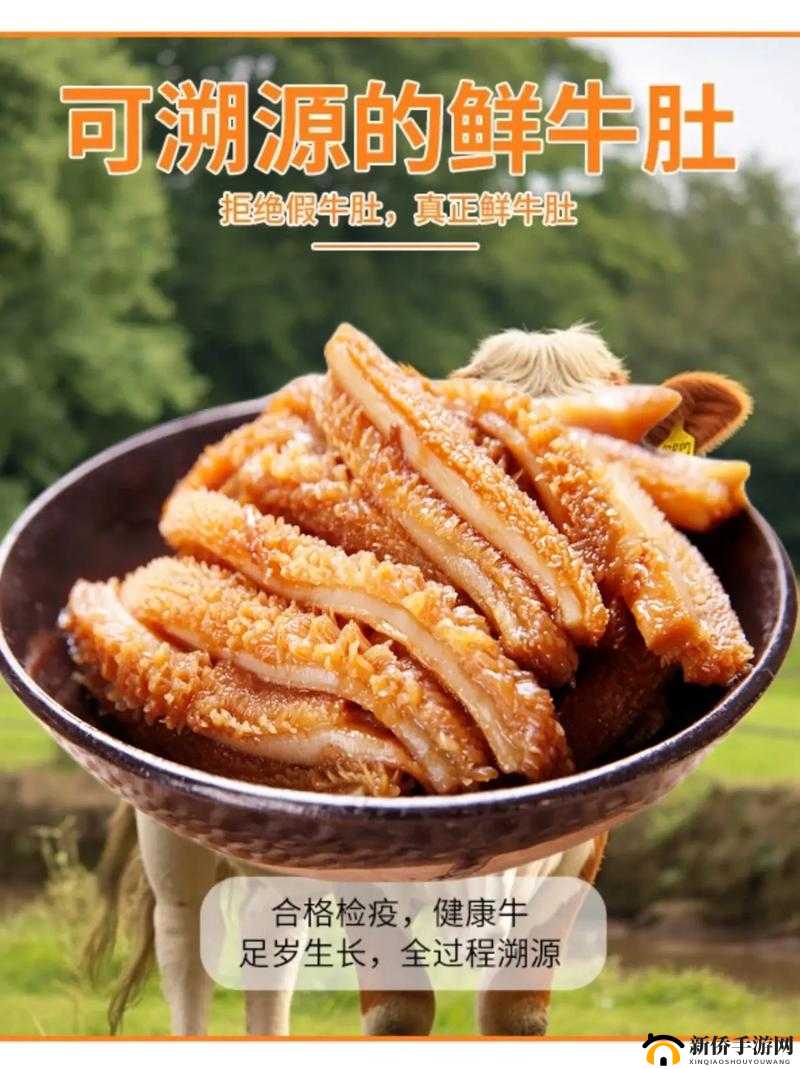 《秘制青椒牛柳烹饪指南：食材精选与制作步骤》