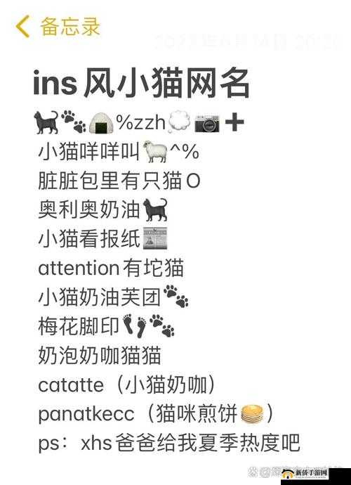 猫咪成人地域网名怎么取：探讨取名方法