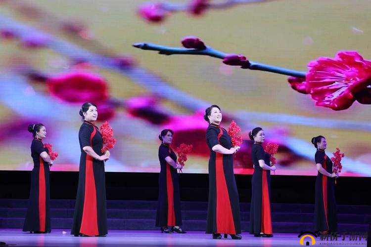 团队 PANSY 中老年妈妈：舞动的魅力风采