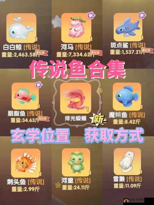 摩尔庄园音符家具玩法全解析 带你轻松掌握攻略