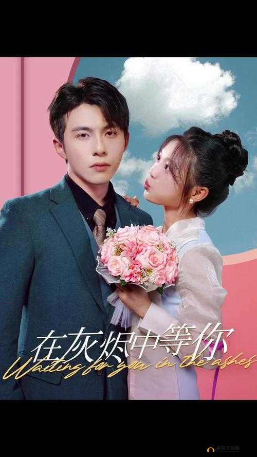 成全高清视频免费观看：精彩等你领略