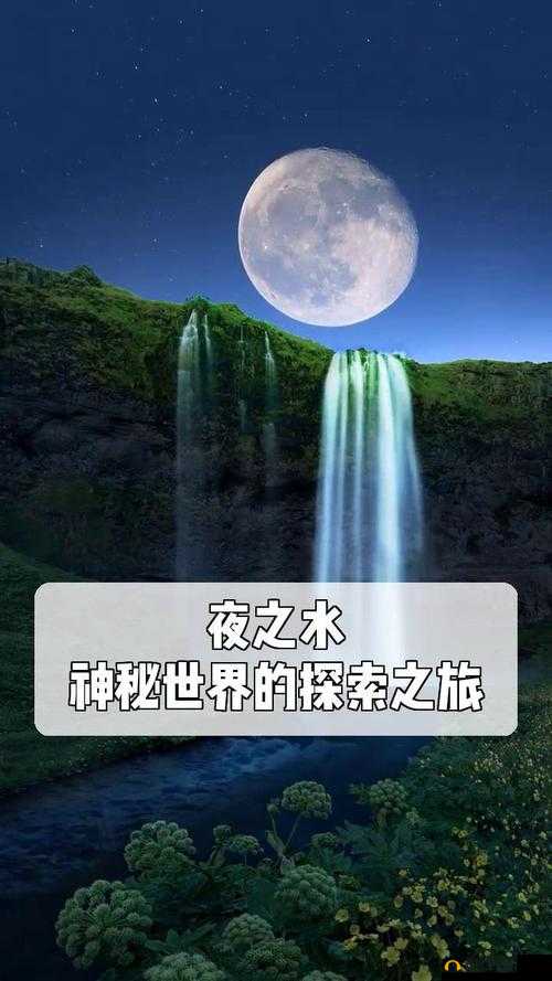 mimirukou 秘密入口：探索未知的神秘世界