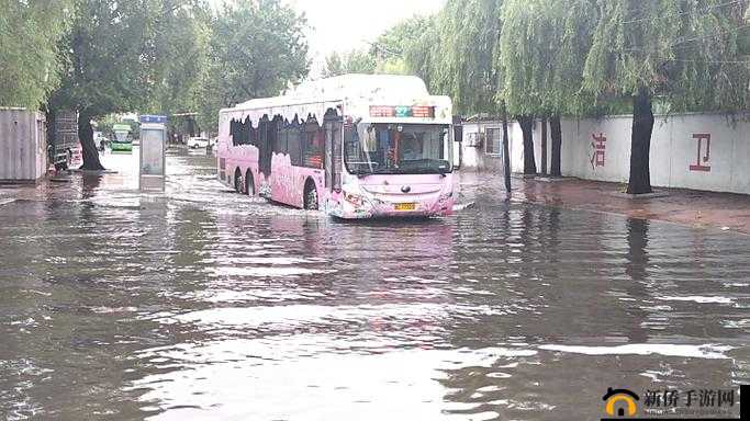 几天没 C 水这么多公交车：引发关注的现象