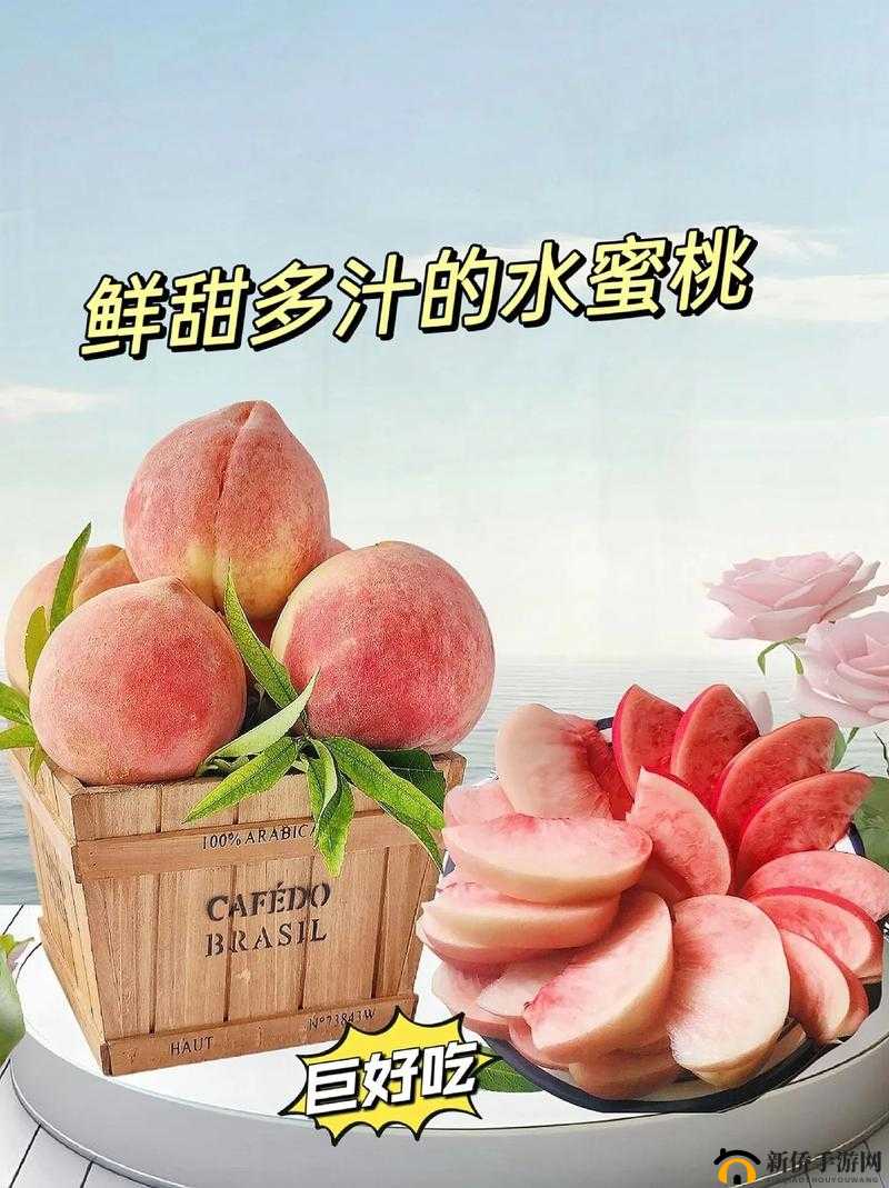 水蜜桃一三四专区特色内容呈现