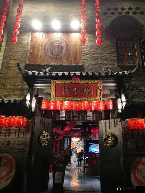 成人怡红院：独特娱乐体验之所