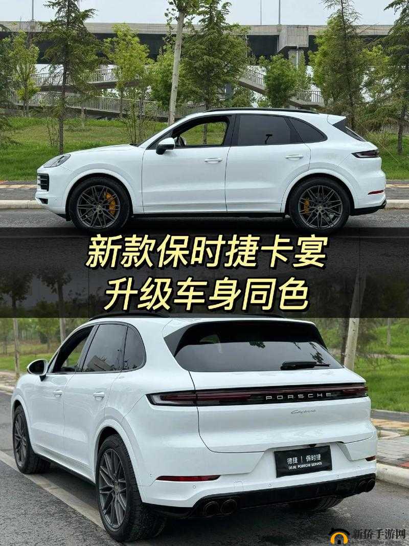 国产SUV精二区九色有什么特点：深度解析