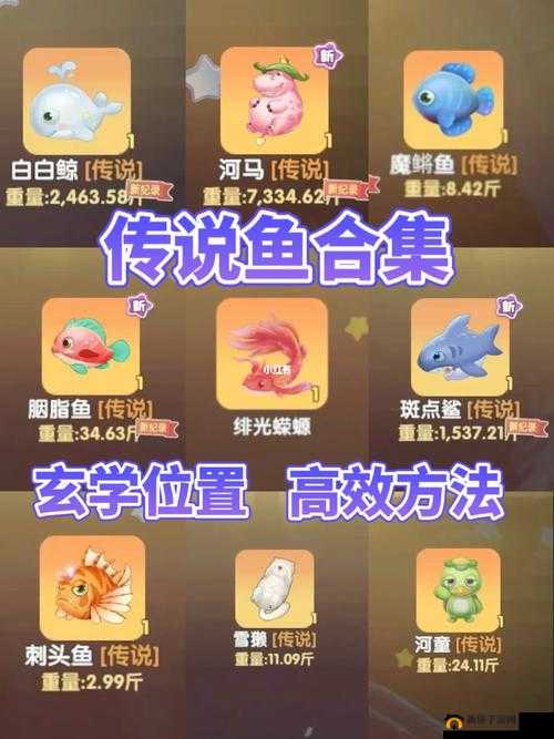 摩尔庄园手游：花罗汉鱼垂钓地点攻略，神秘水域探秘