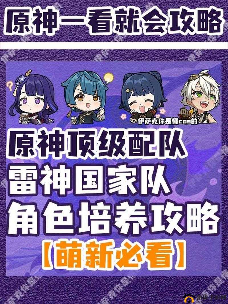 原神雷神国家队阵容搭配心得分享：技能互补，无敌联手