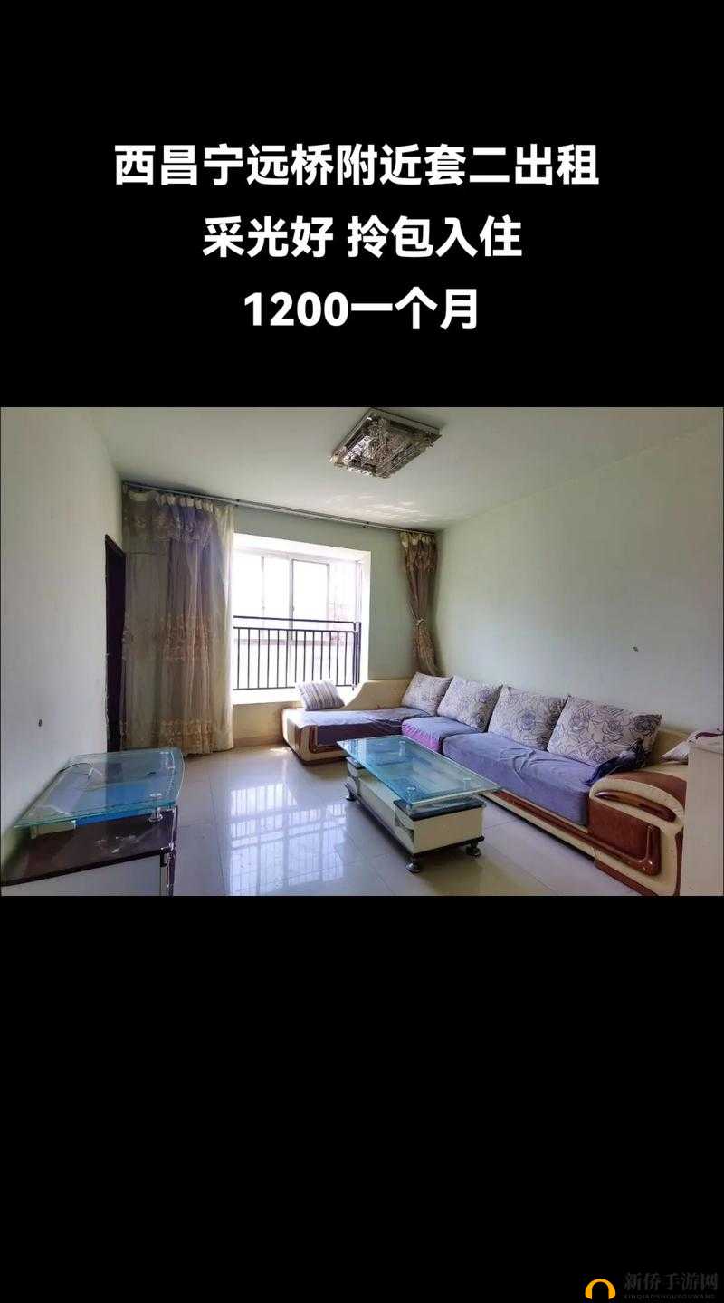 出租房里的交互深圳康健第二部：深度解析