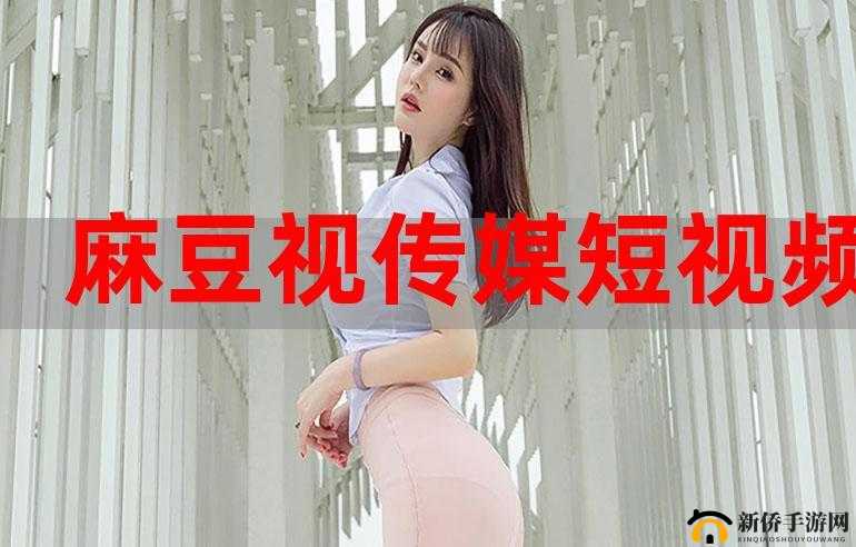 麻豆视传媒短视频网站：适当放松，享受美好时光