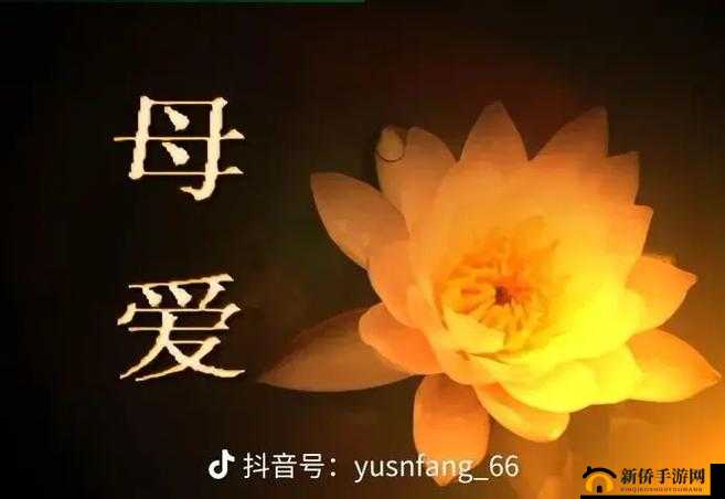 天堂に駆ける向天堂奔去歌词的背景和含义是什么解析