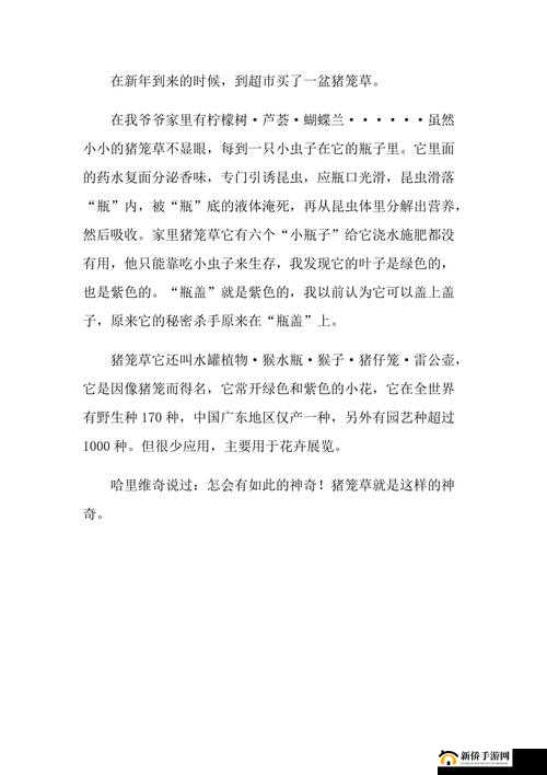 珊瑚岛捕虫攻略：高效捉虫方法与技巧分享