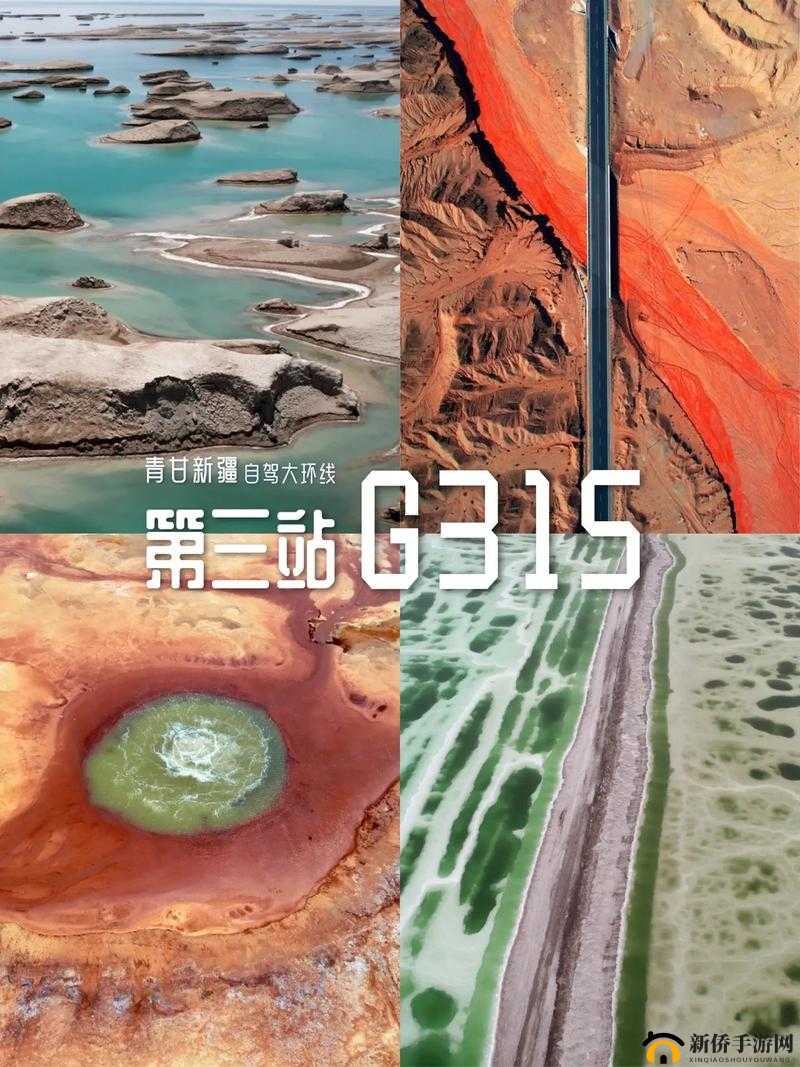 无人区乱码一二三四区别在哪里：深度解析要点