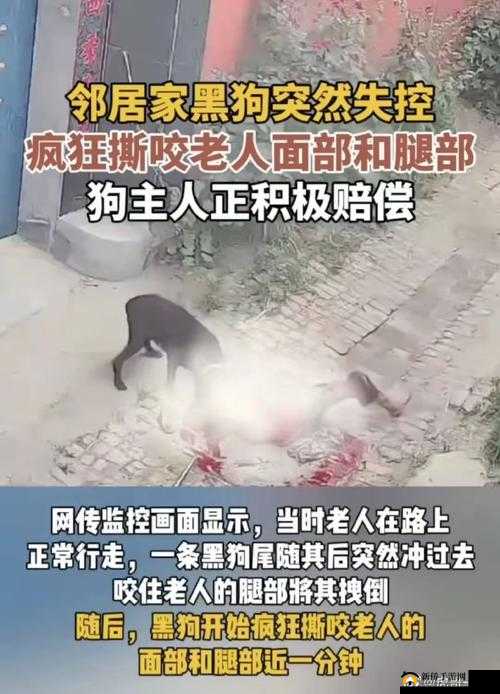 老太受辱视频