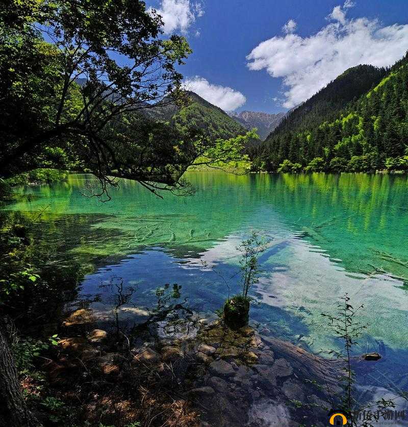 镜海重生：山海界之名变