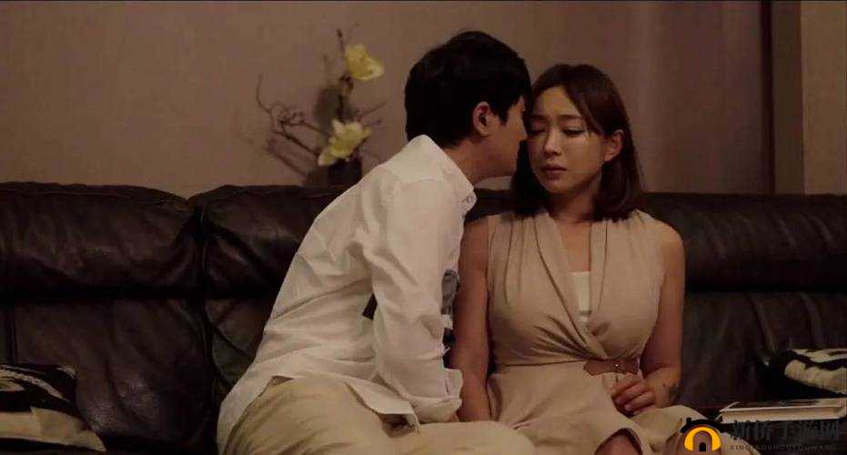 无套内谢少妇夜夜嗨：探索性与欲望的边界