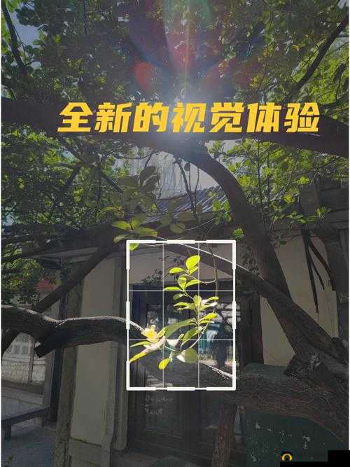 全新视觉体验，尽在色天使在线视频：XXXX