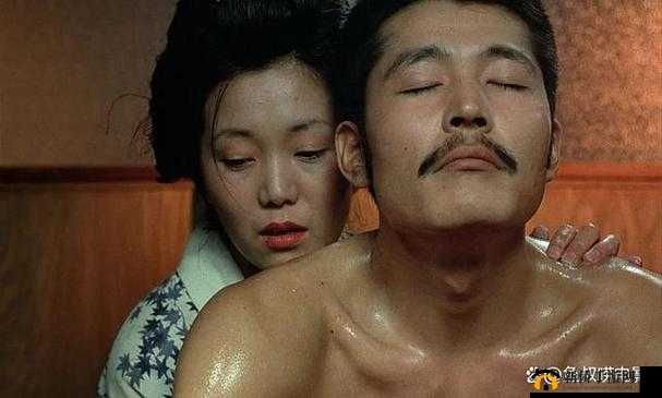 成人片黄色大片：探索欲望的视觉盛宴