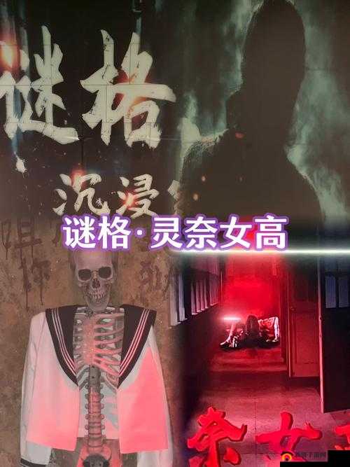 夜里 18 款禁用 B 站大全：为何被禁之谜