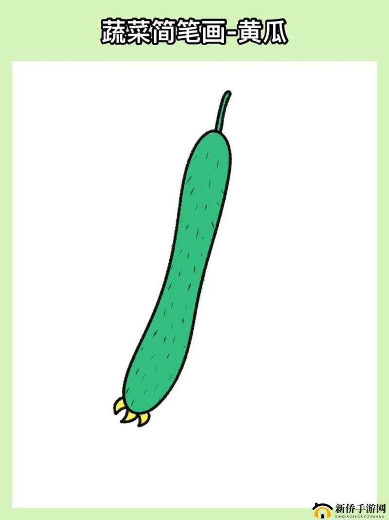 黄瓜的视频画画：用艺术诠释自然之美