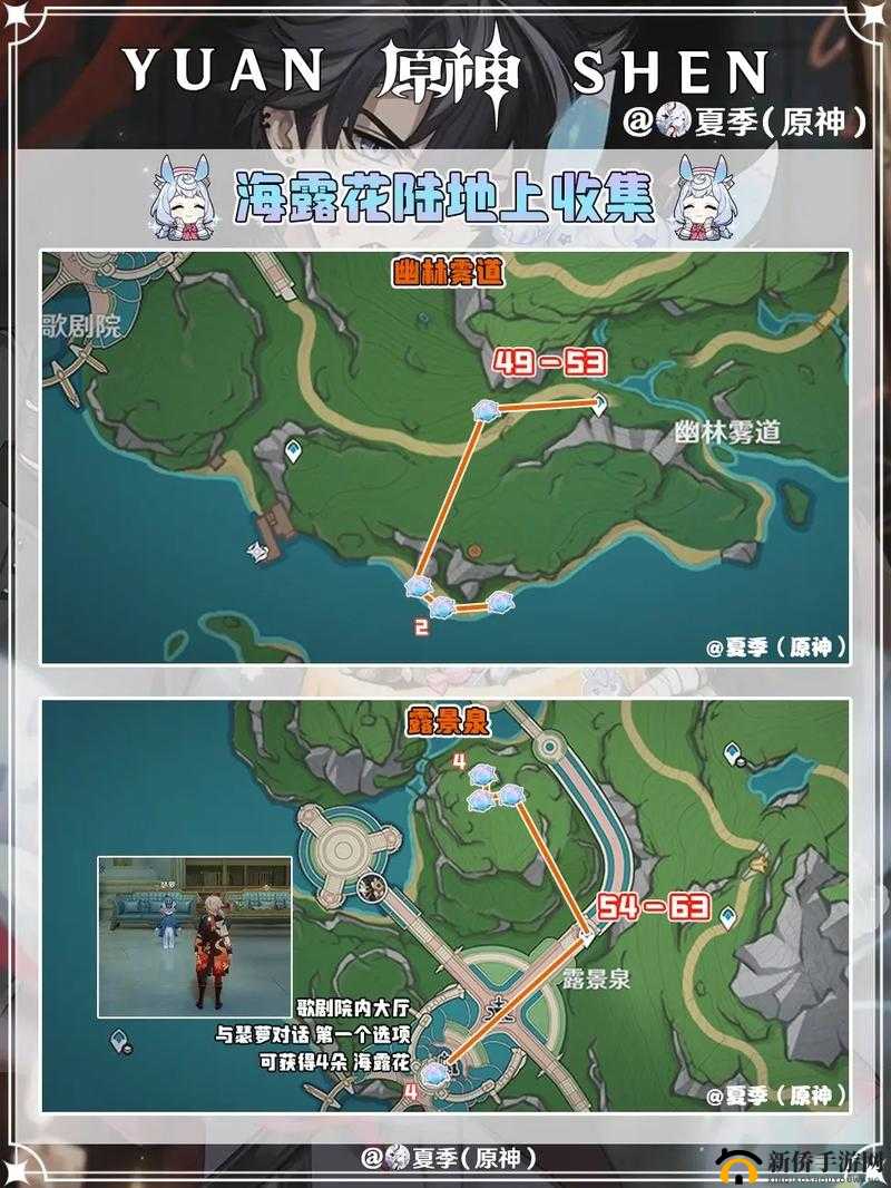 《原神》海露花购买与采集全攻略：地点路线推荐图助你轻松找到海露花