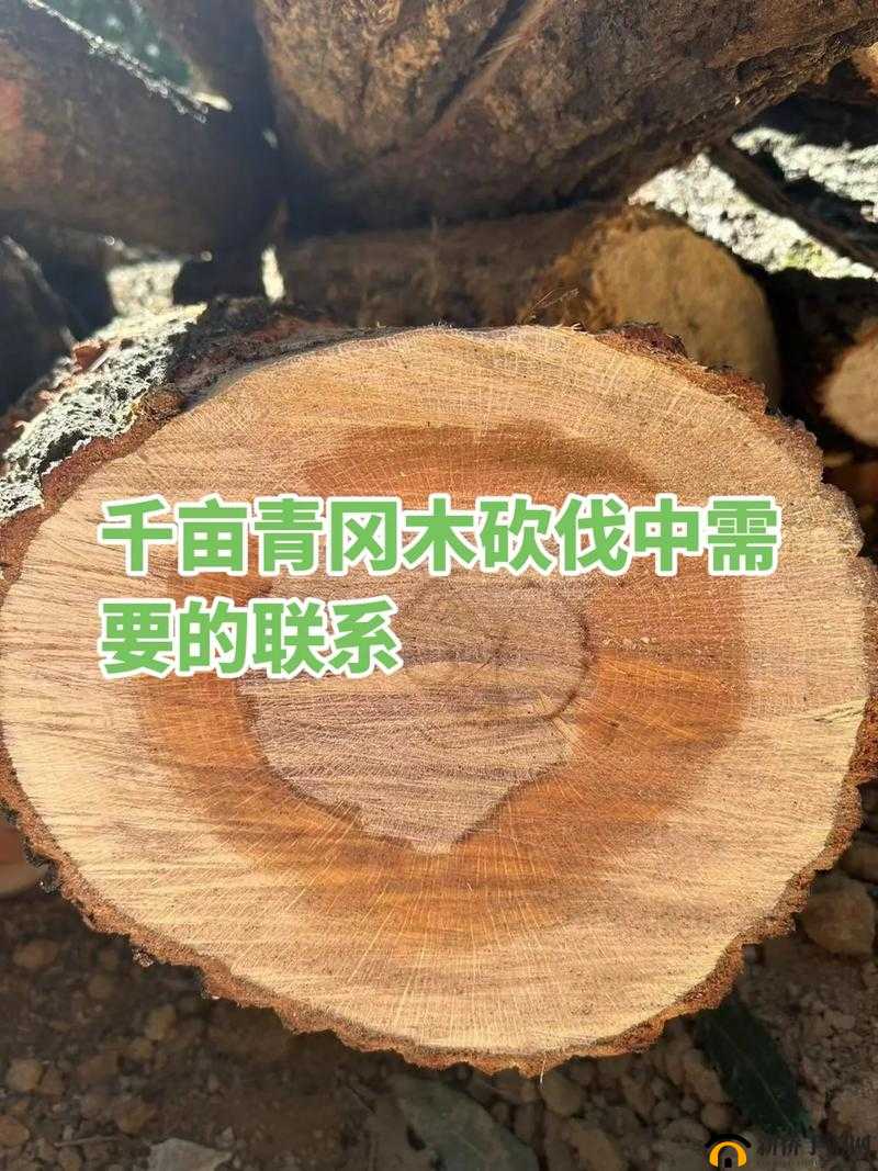 《仙国志》取木任务攻略：高效砍伐与收集技巧分享
