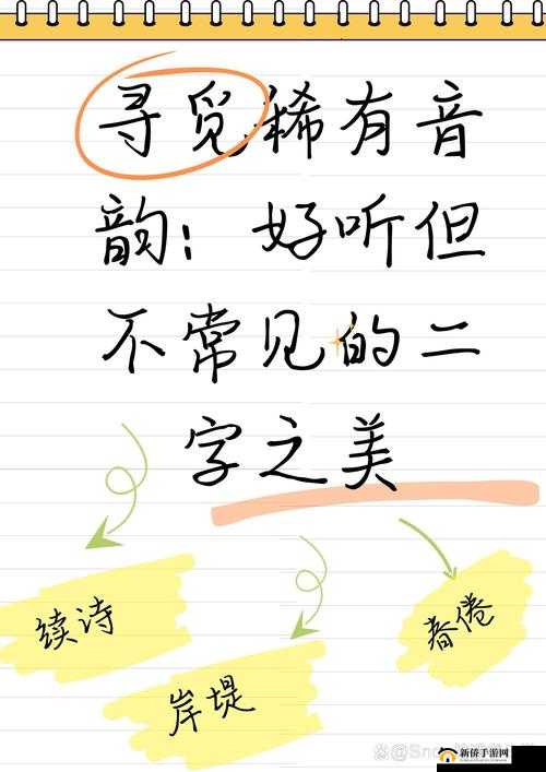 《全民大灌篮》巨星攻略：揭秘哈基石的超凡实力与独特技巧解析