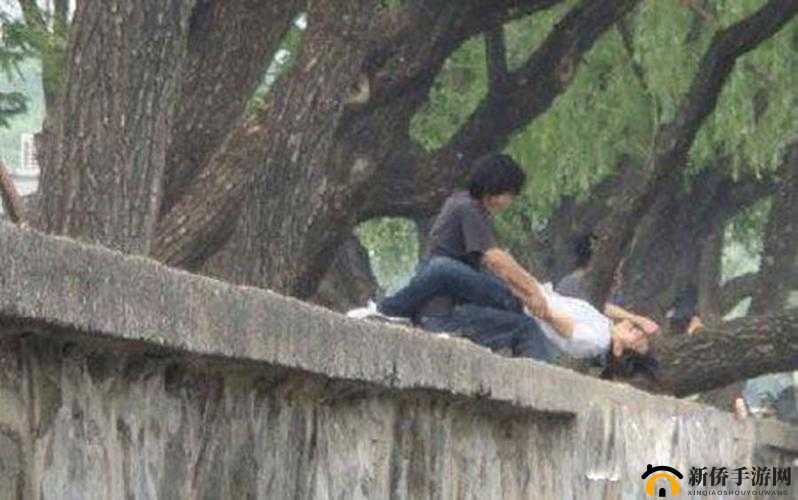 偷拍一级片：揭露不道德行为