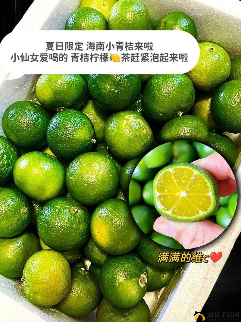 青柠视频在线完整高清观看：海量资源等你看