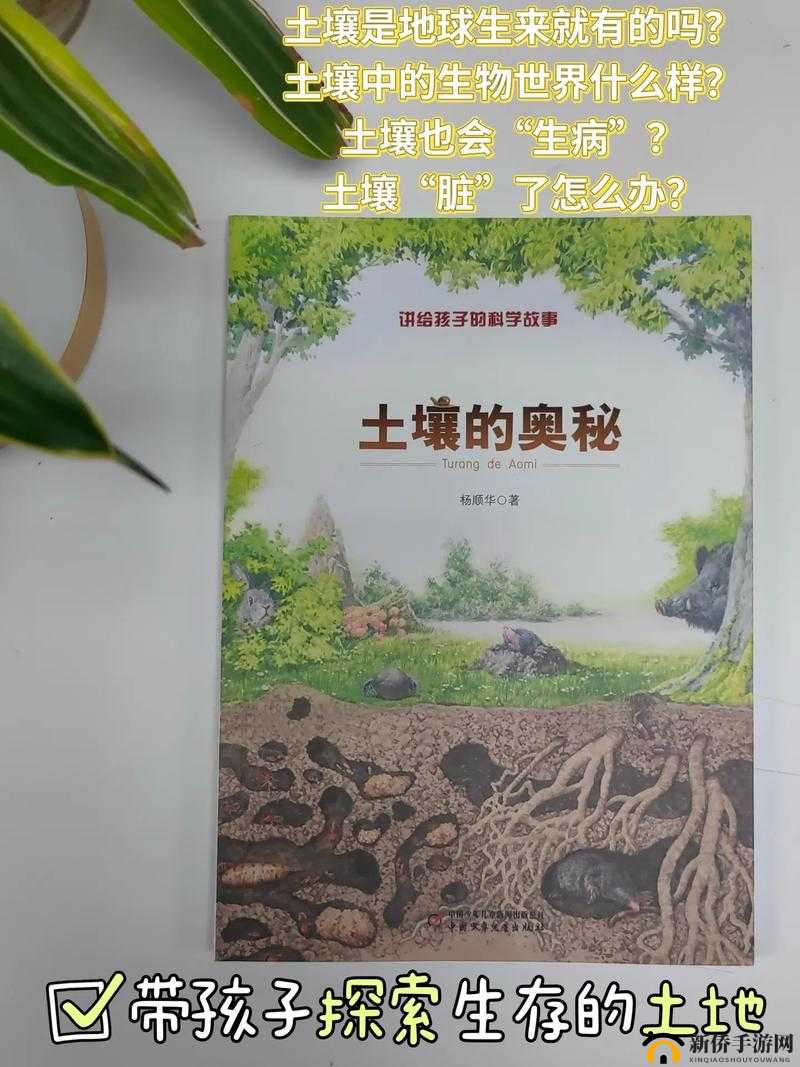 仙林踪 cosmetology：探索美丽的秘密
