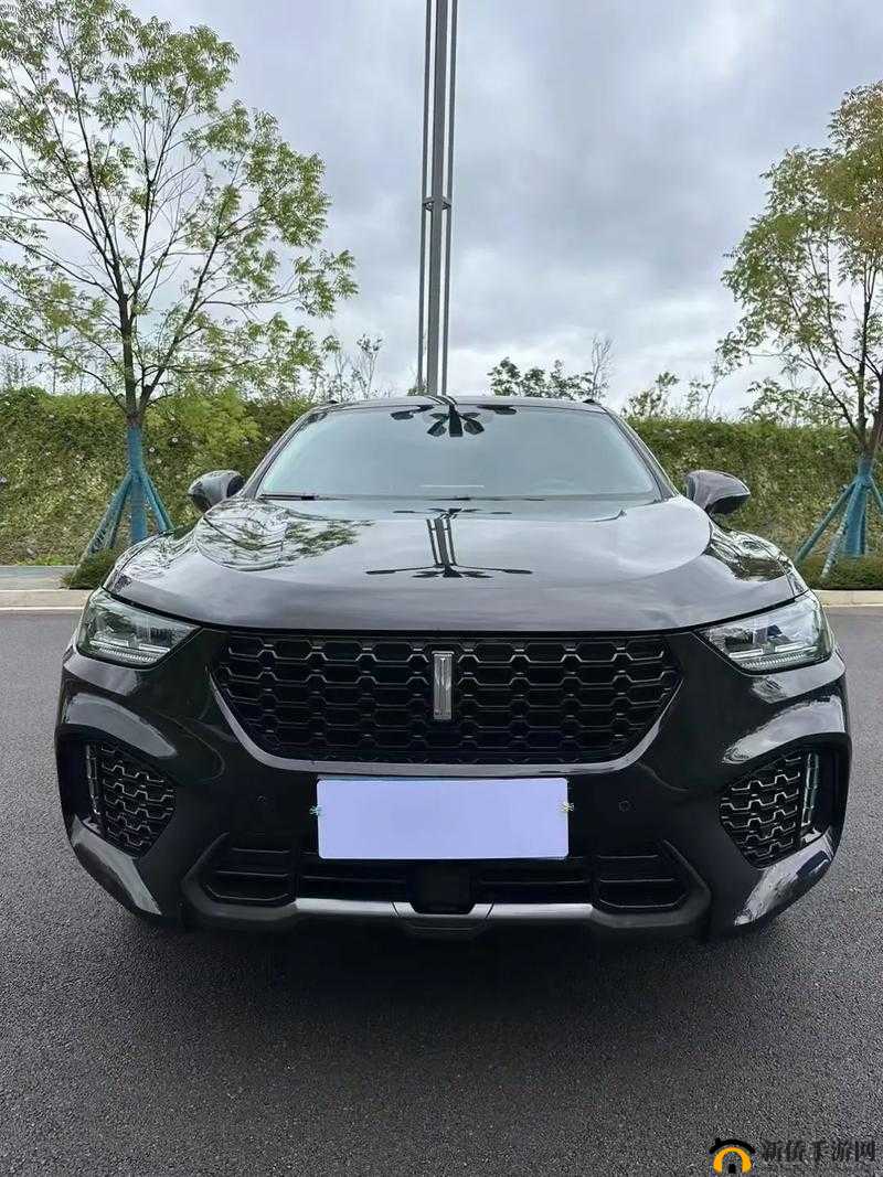 weyvv5 国产的 suv 免费-你值得拥有