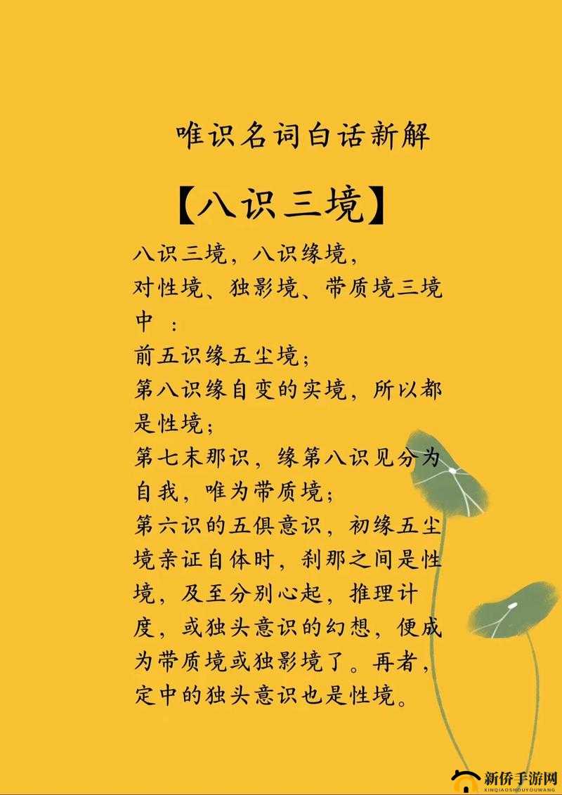 亚洲区域三区域：探索未知的奥秘