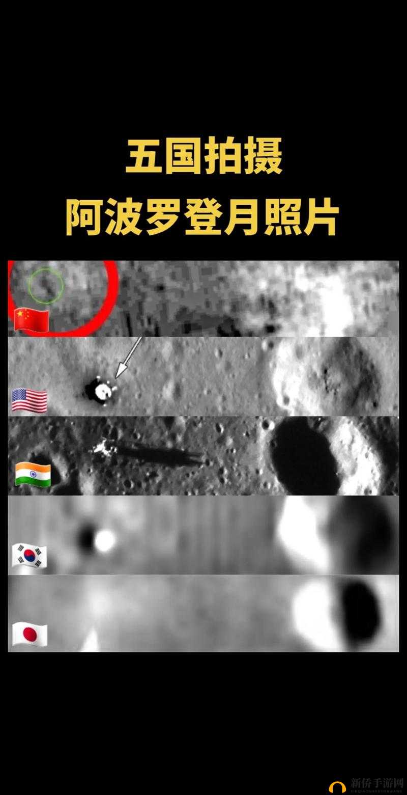 有 Ь 操，www.946133.wiki：探索未知的世界