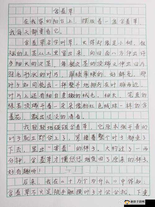 含羞草传媒隐藏路线 2023：探寻未知的精彩世界