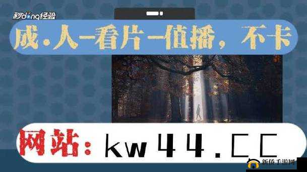 麻豆传煤入口直接进入免费版下载：存在风险，请勿尝试