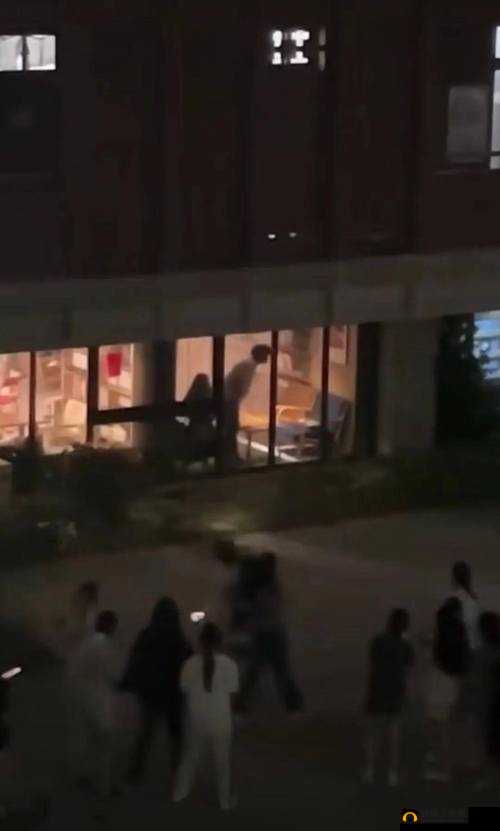 李丽莎大尺度啪啪：争议与反思