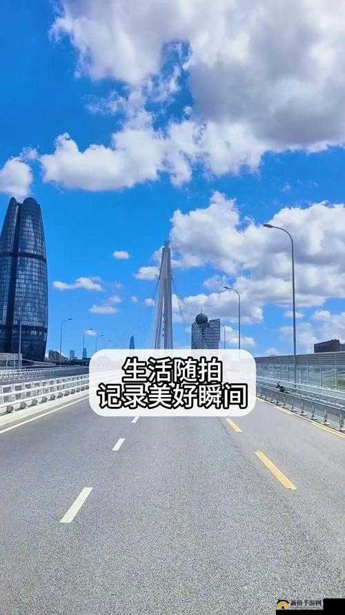 国产手机拍视频推荐 2024：记录美好瞬间
