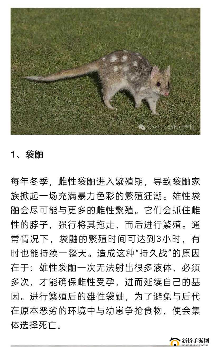 欧洲人物动物交互咬：奇妙的关系探索
