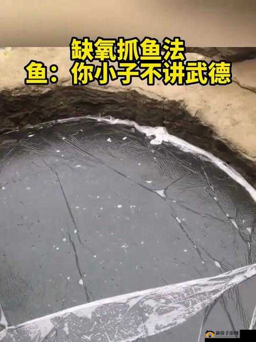 缺氧新手心得：巧妙抓鱼策略，应对缺氧环境下的捕鱼技巧