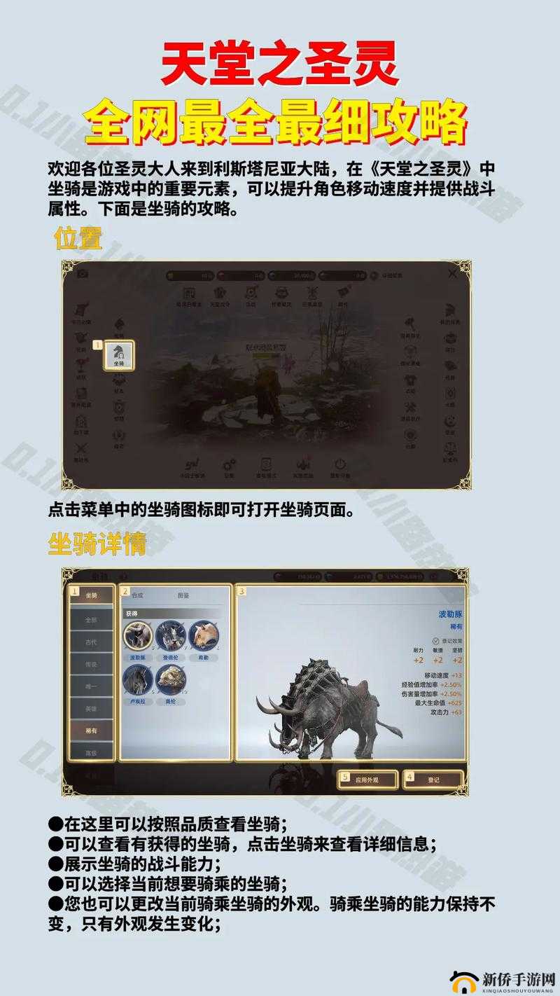 部落与弯刀辅助流圣灵玩法指南 带你轻松玩转圣灵