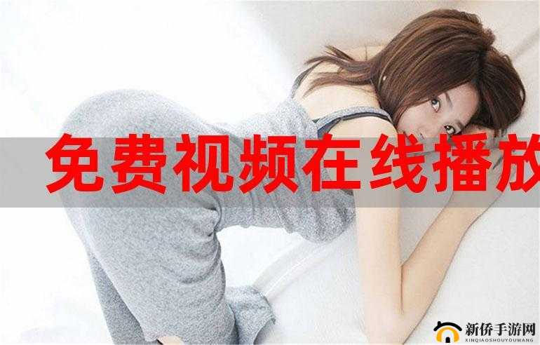菠萝蜜视频网站：畅享精彩视频资源