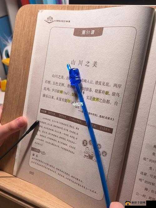《天命秘录：小隐林间招式图鉴与修习之道》