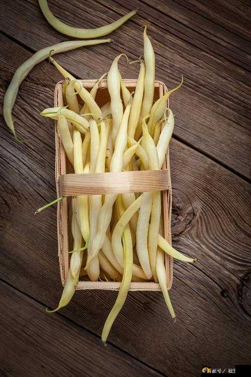 香蕉久久丫精品忘忧草：口感鲜美，回味无穷