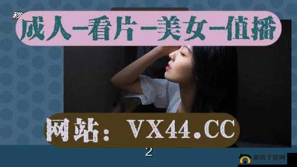 Windowschannel 视频全新优化详解之要点剖析