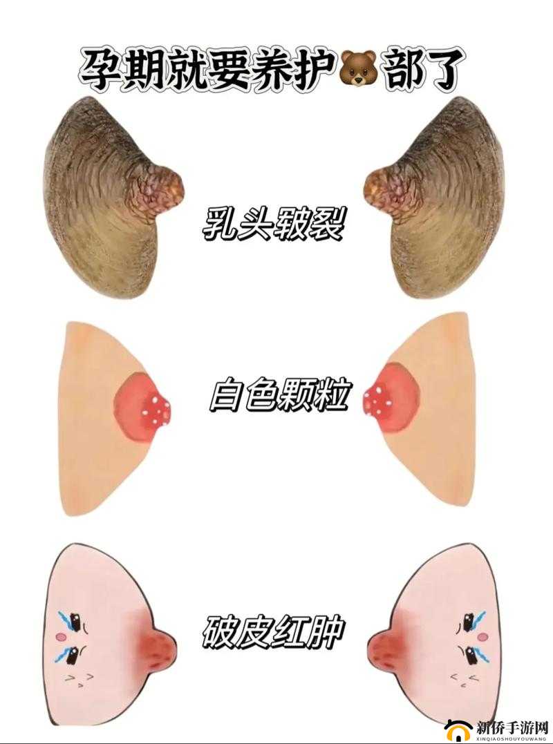 厨房趣事：两只乳头为何红肿