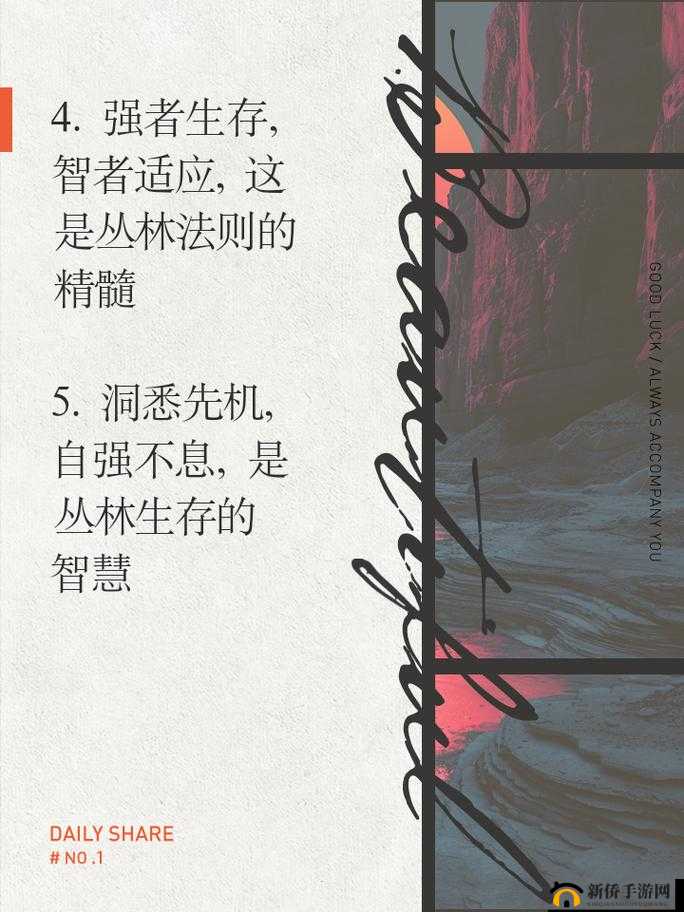 丛林法则深度探索，解析内测玩家反馈，提出优化建议与策略分析